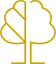 Design Icon