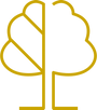 Icon Design